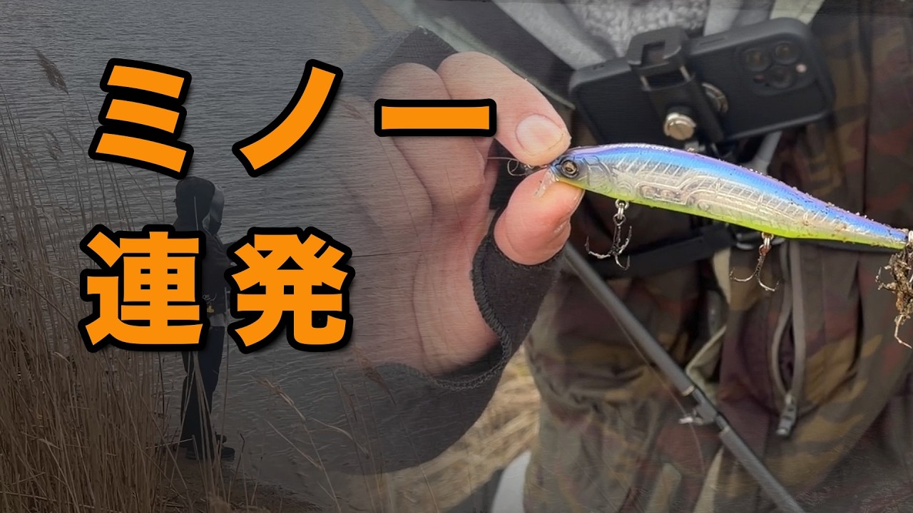 昼の八郎潟、ミノー巻いた結果…