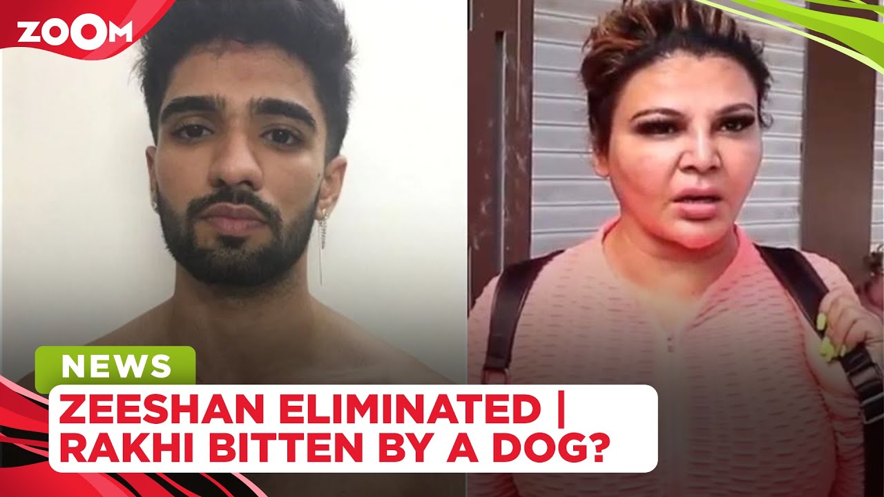 Zeeshan Khan eliminated for fight with Pratik | Rakhi Sawant claims she was bitten by a dog