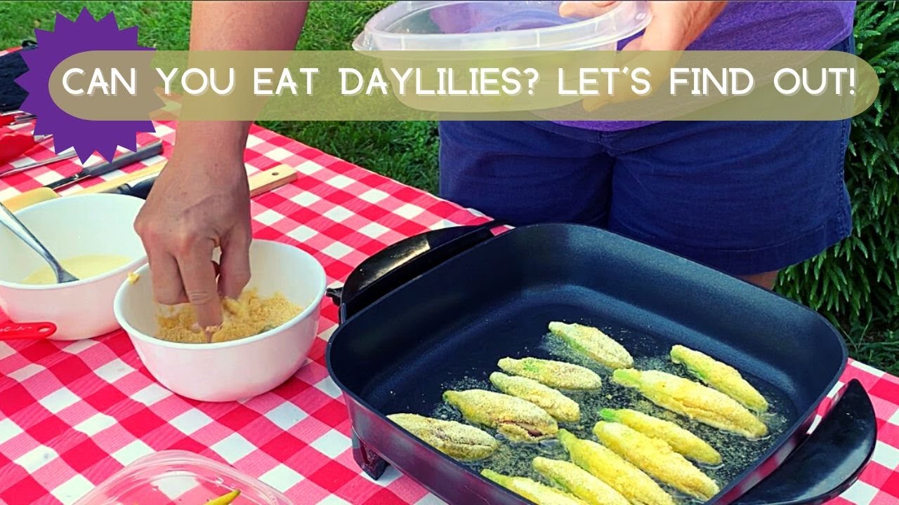 From Flowers to Feast: Unlocking the Edible Mystery of Daylilies