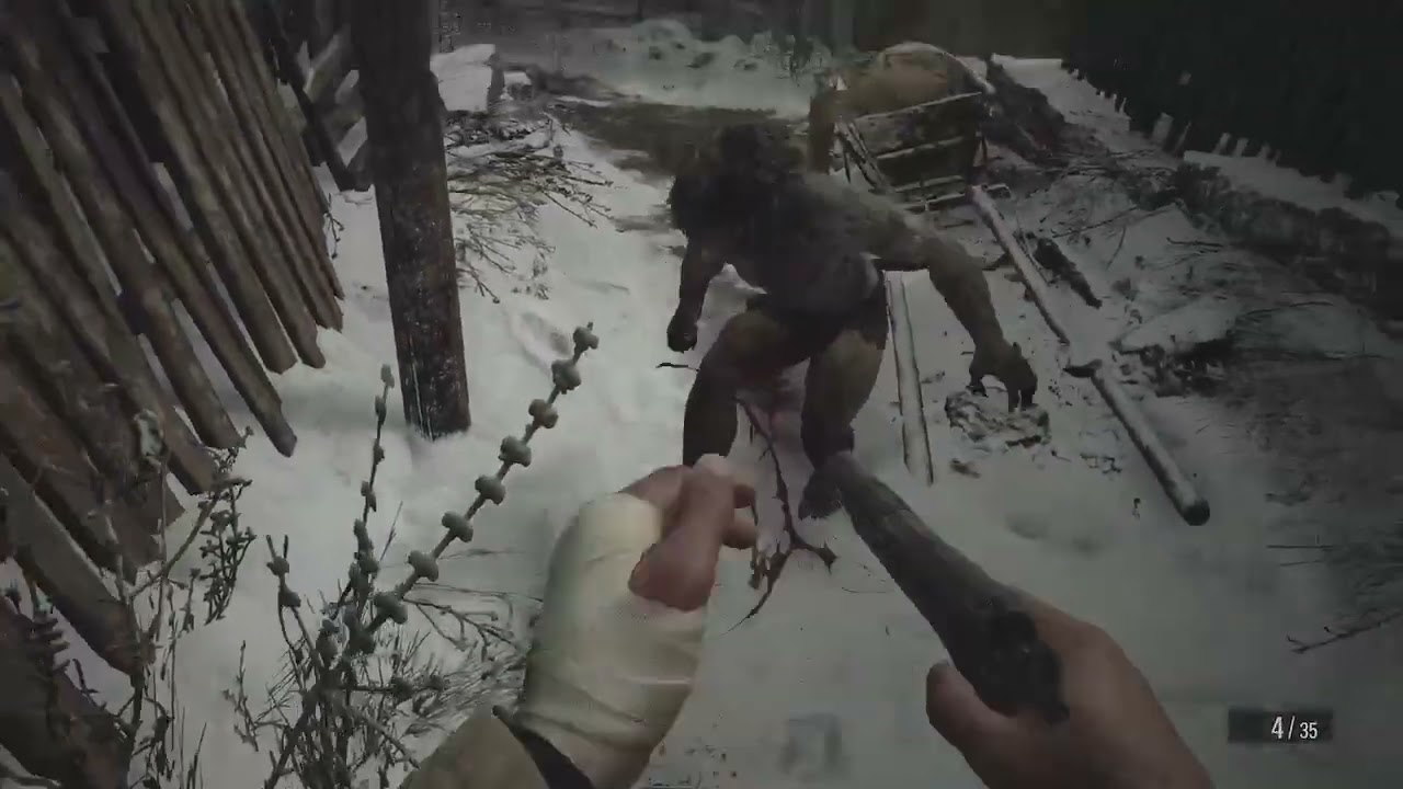 Resident evil 8 (Hardcore difficulty)