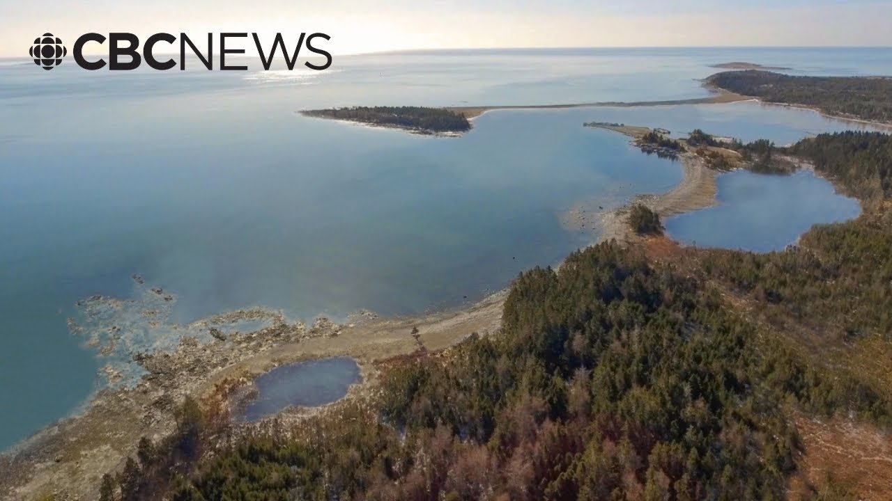 Nova Scotia's would-be whale sanctuary one step closer to reality