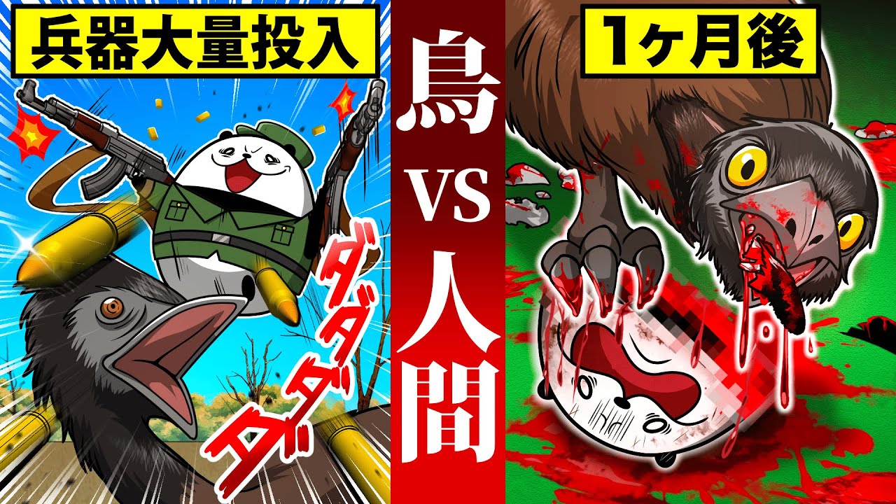 【実話】人類唯一の敗北！鳥と人類による壮絶な戦争の結末とは！？【アニメ】
