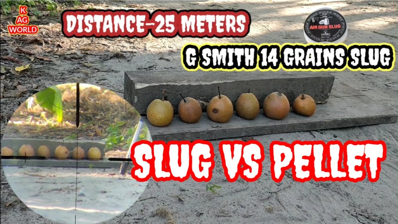 SLUG VS PELLET/.177 CALIBRE/FX WILCATE MK3/