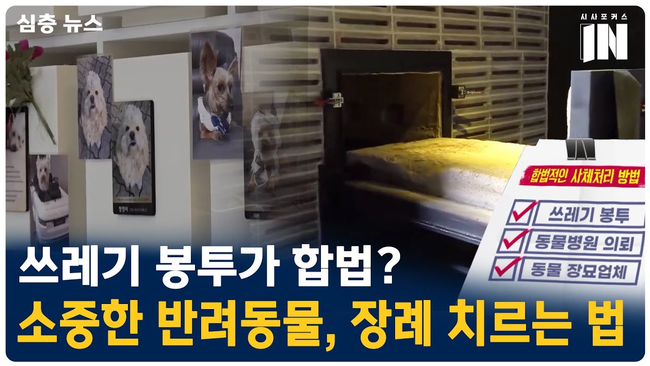 내 곁을 떠난 반려동물, 장례는 어떻게 치러야 할까?