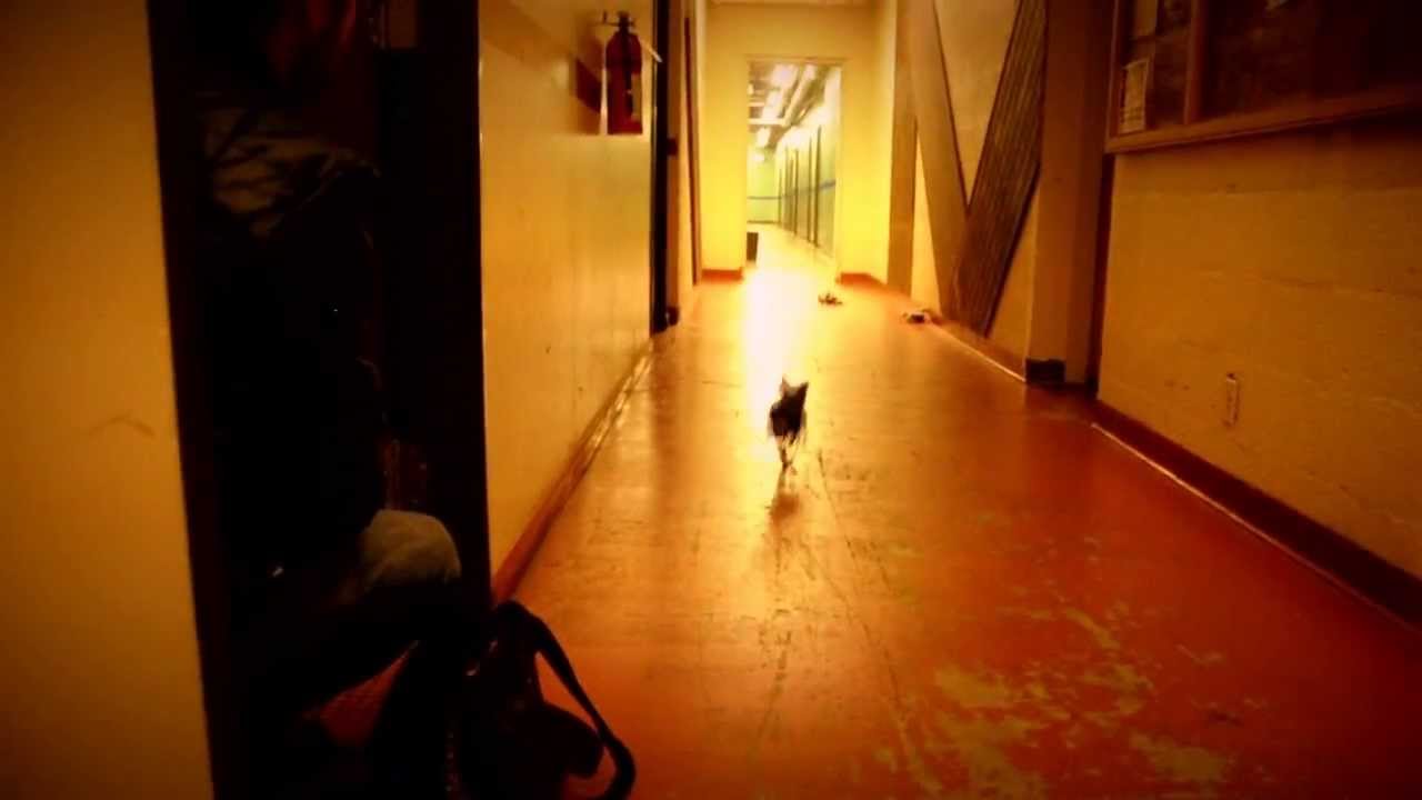 Flobots - Rockmine (OFFICIAL MUSIC VIDEO)