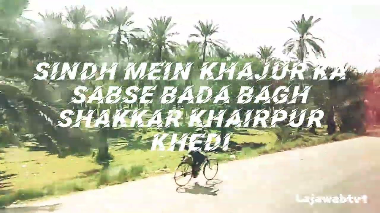 October 29, 2025 send ke bagaath thedi shakkar