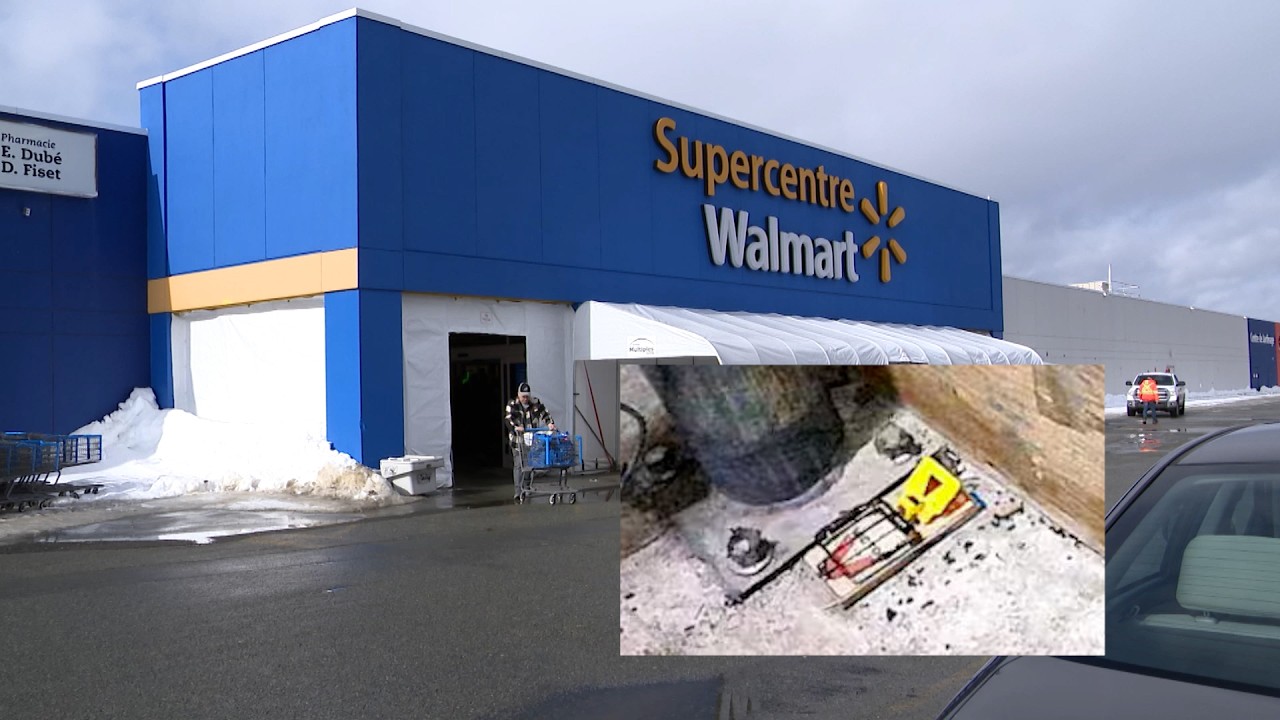 Présence de souris : Le Walmart de Rouyn-Noranda mis à l'amende