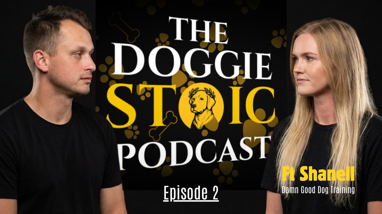 Play-Based Dog Training That Actually Works | Shanell from Damn Good Dog Training
