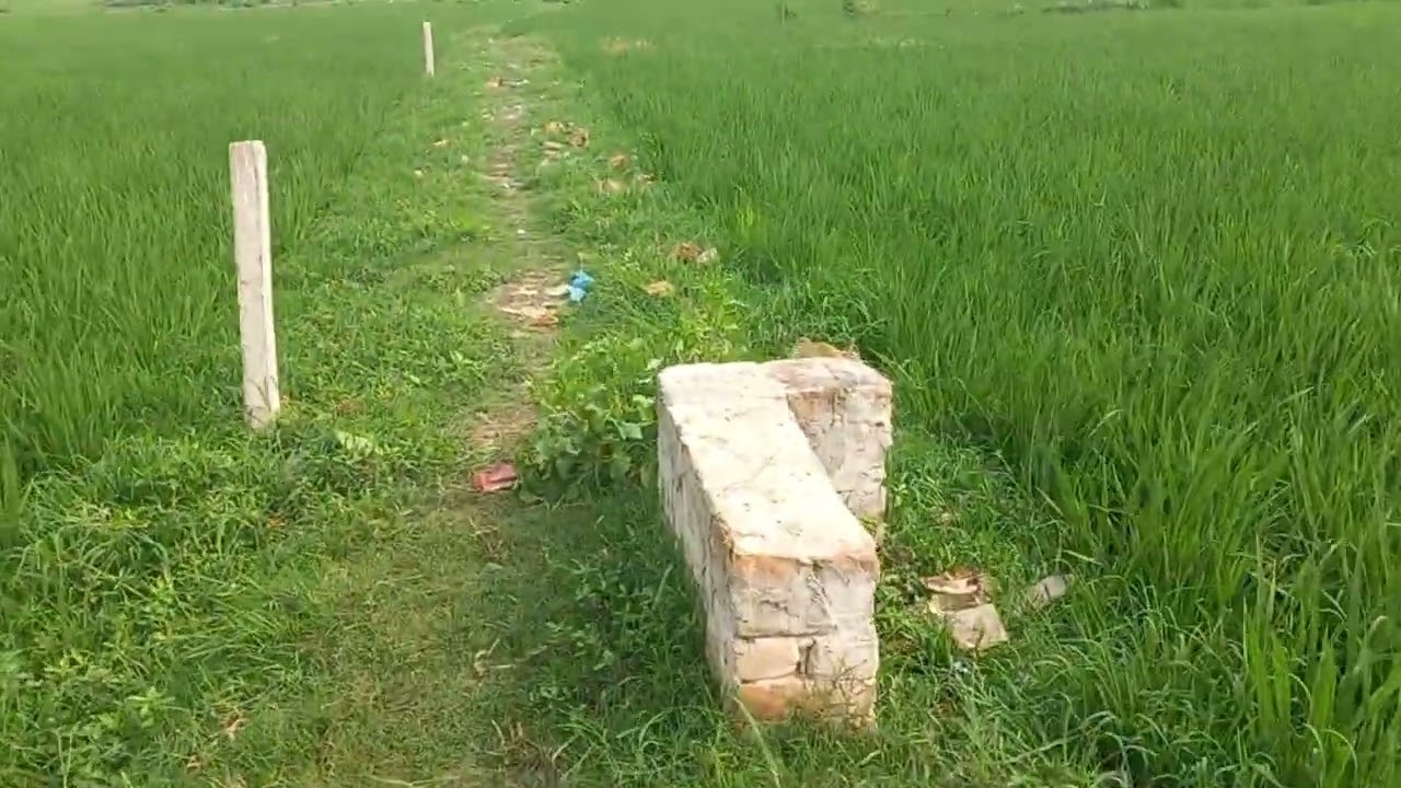 জমি ক্রয় বিক্রয় টঙ্গী কলেজ গেট দত্তপাড়া বনমালা রেলের পূর্ব পাশে আড়াই কাঁঠার প্লট 01711585378