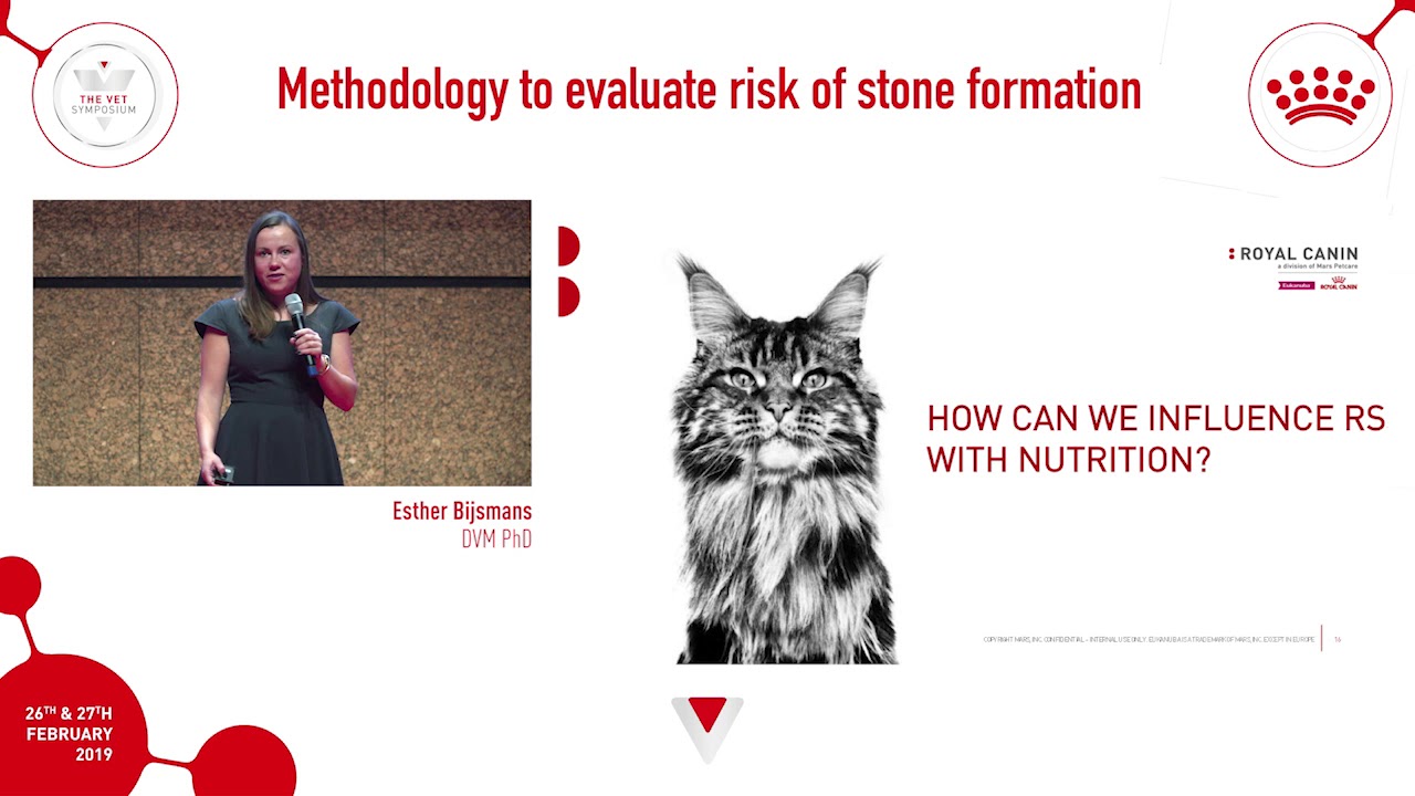 How best to evaluate the risk of stone formation in your VET patients