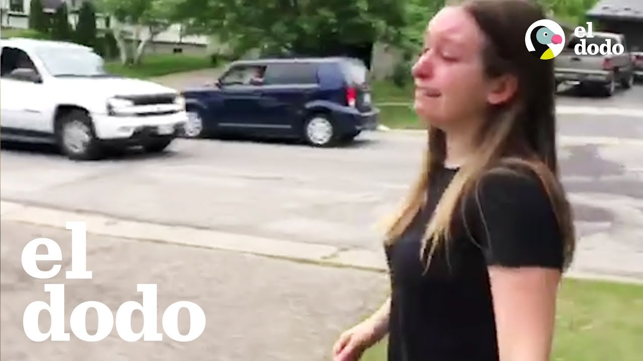 Esta mujer está decidida a encontrar a su gatito perdido