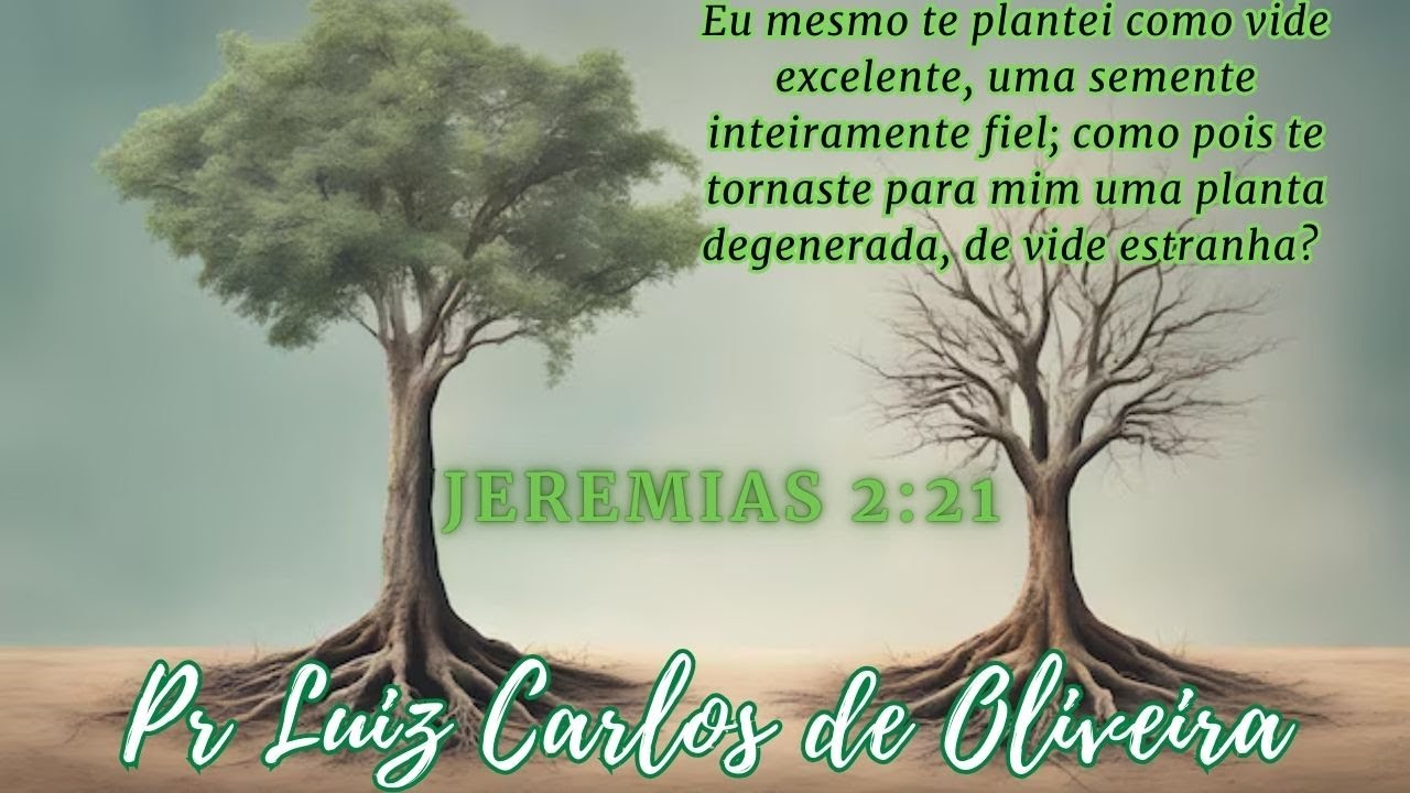 Jeremias 2:21 - Vide Excelente e Vide Estranha - Ministra&ccedil;&atilde;o da Palavra