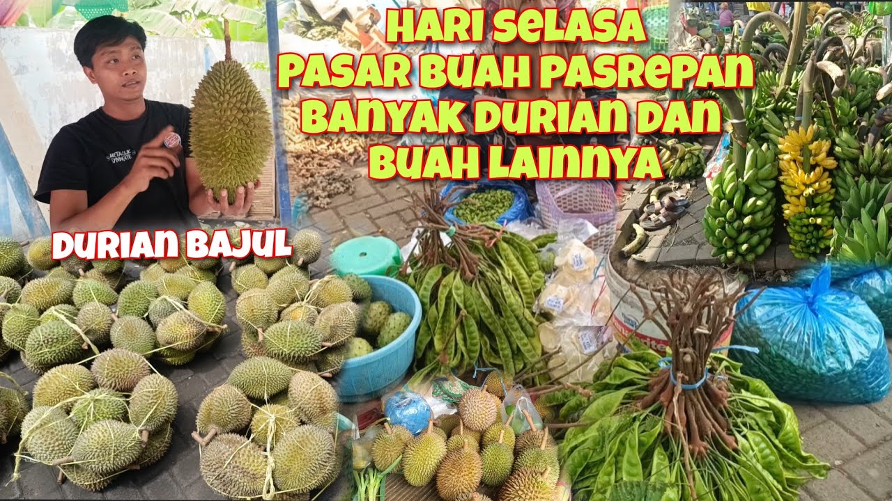 HR SELASA LIHAT HARGA DURIAN ALPUKAT PISANG NANGKA PETE JENGKOL DI DALAM PASAR DAN TERMINAL PASREPAN