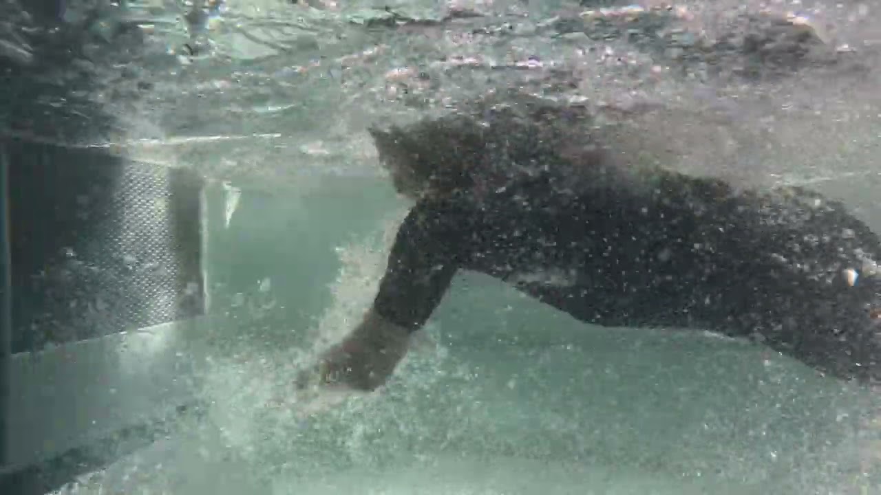 Nick Swim 3 12 26