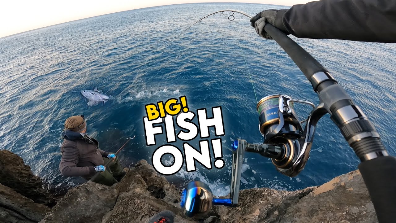 He is ANGRY! | BIG Albie Off The Rocks | Fishing for False Albacore