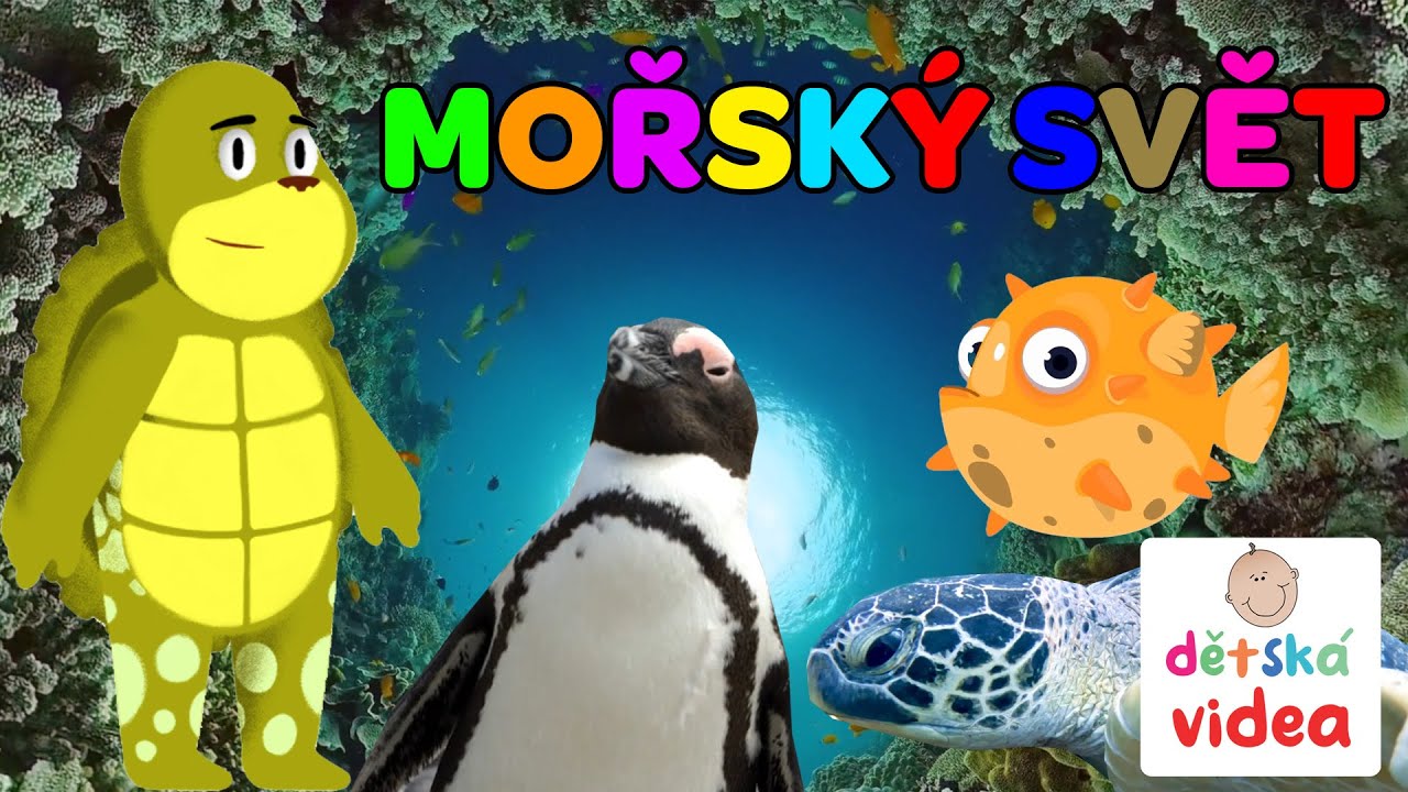 Zvířátka z moře - žraloci, delfíni, kosatky, kraby a různé rybičky | Dětská videa