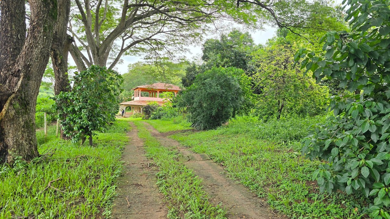 🌿FAZENDA 130 HECTARES A VENDA REGIÃO GOVERNADOR VALADARES🌿 