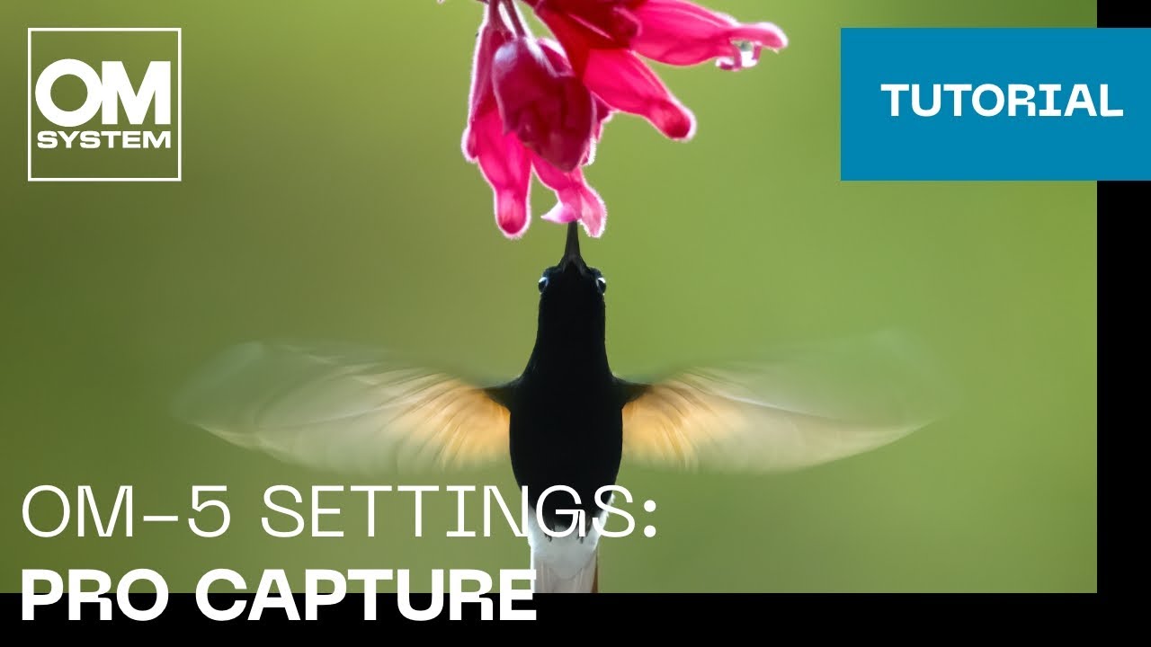 OM-5 Settings: Pro Capture