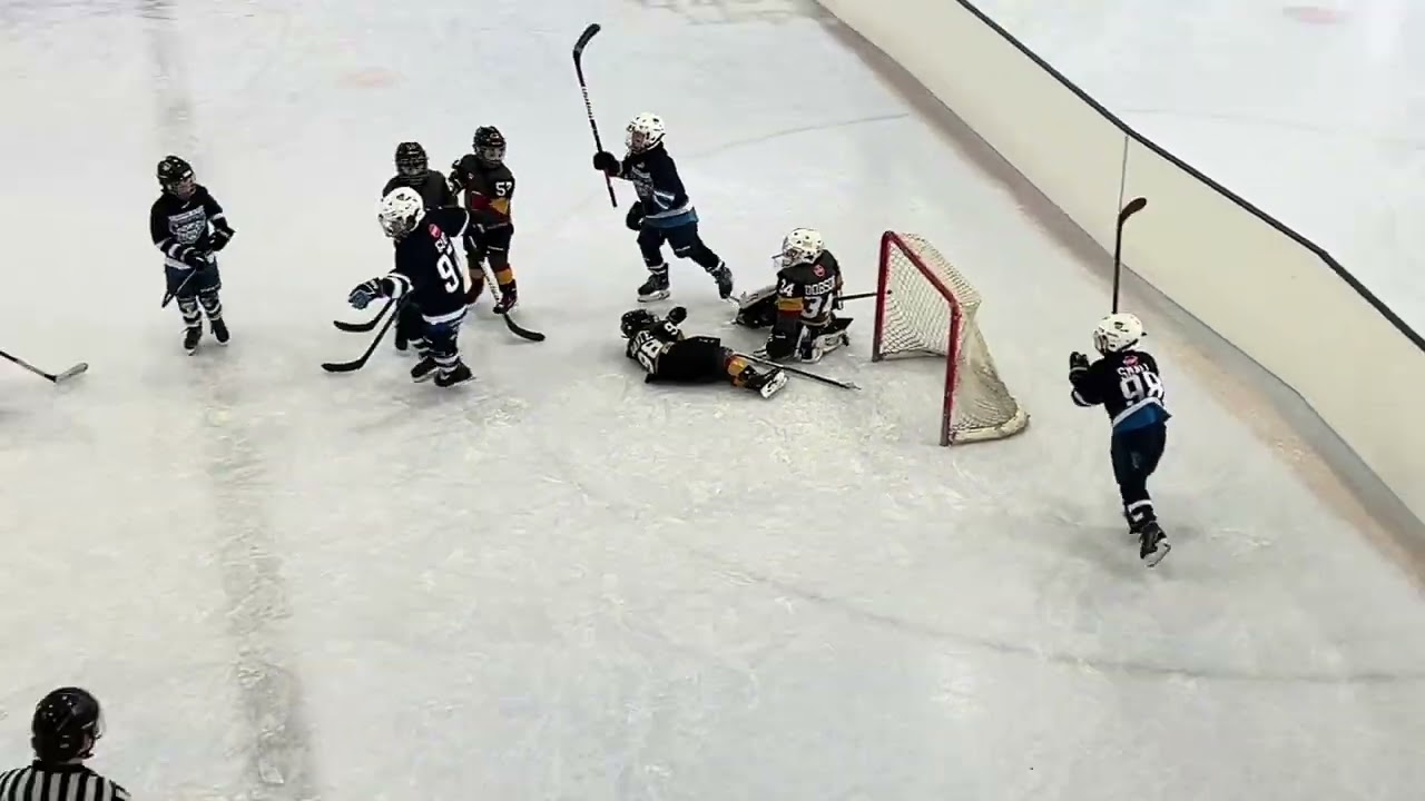 Buffalo Game 4