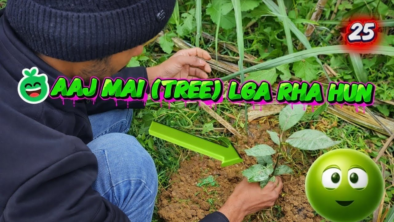 Aaj Mai (TREE)🌲Lga Rha Hun😁(VLOG 25)