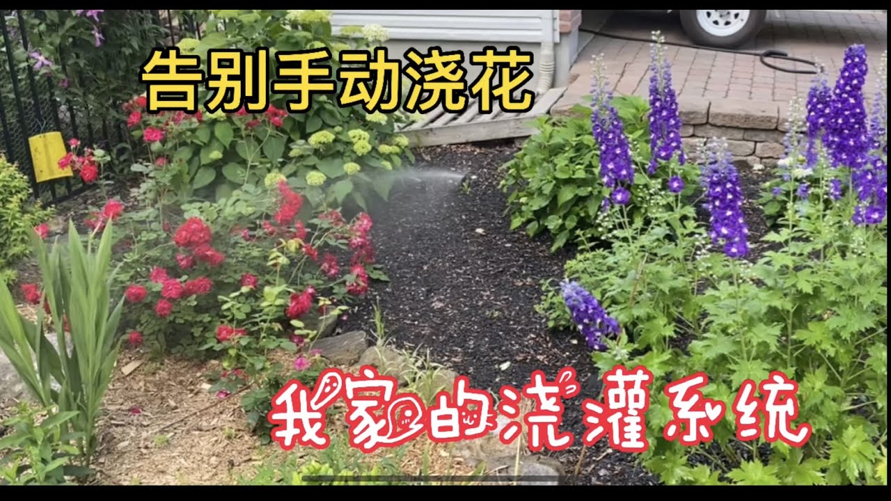 我家的浇灌和滴灌系统！ Rain Bird