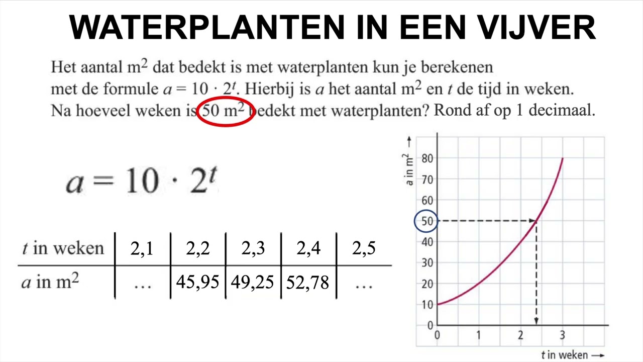 Inklemmen bij exponentieel verband (2 verschilende vragen)