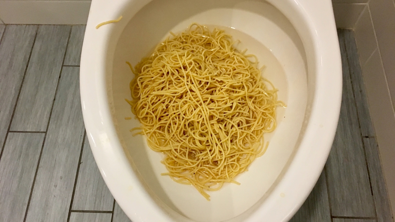 Will it Flush? - Spaghetti