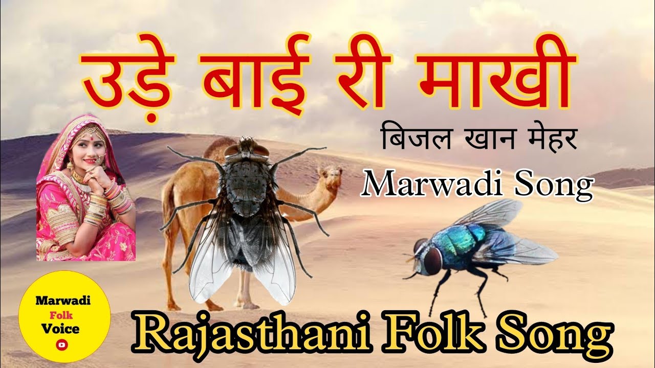 उड़े बाई री माखी | Ude bai ri makhi | Bijal Khan Mehar | बिजल खान मेहर  | Marwadi Song | Folk Song