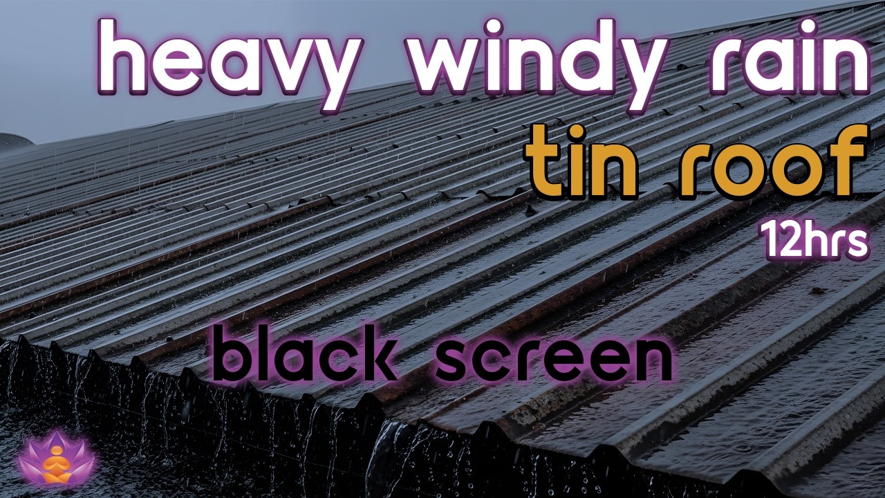 [Black Screen] Windy Downpour | Heavy Windy Rain on Tin Roof – No Thunder | Rain Sounds for Sleep