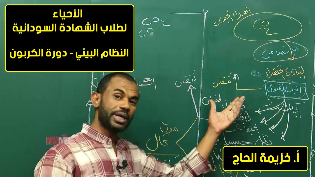 الأحياء | النظام البيئي - دورة الكربون | أ.خزيمة الحاج | حصص الشهادة السودانية