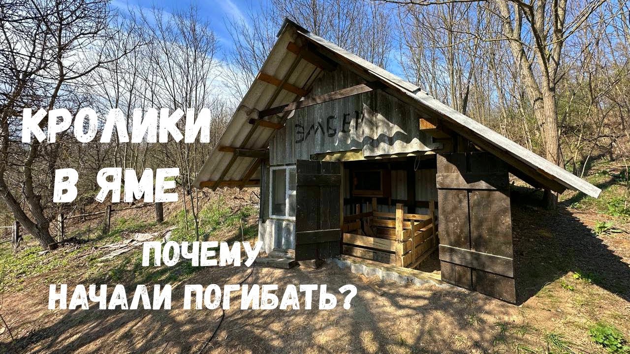 Разведение Кроликов В Яме Эпизод 4, Слишком Быстро Размножаются