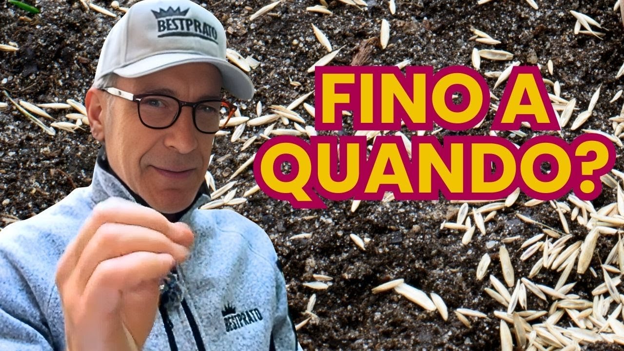 FINO A QUANDO SI PUO' SEMINARE IL PRATO IN AUTUNNO?