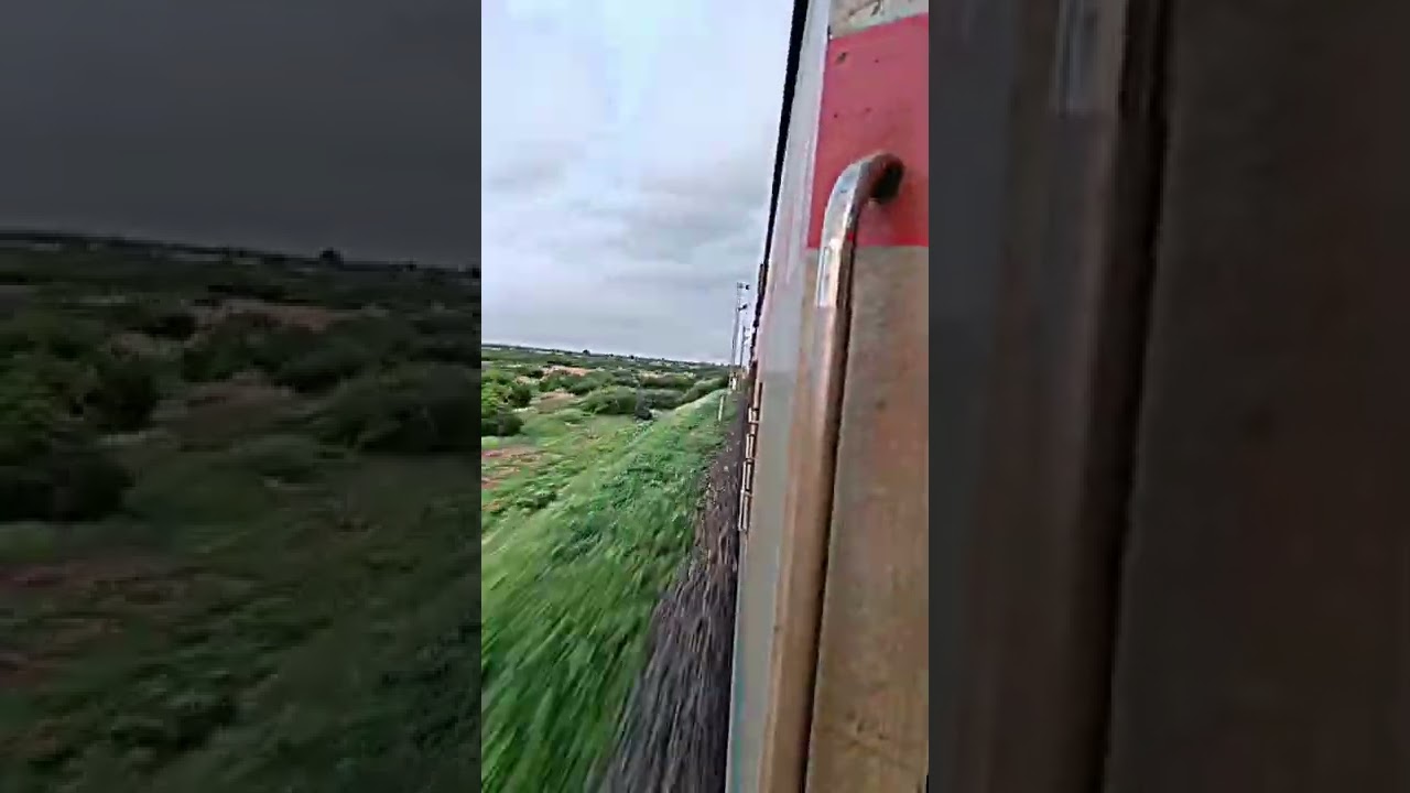 train status......