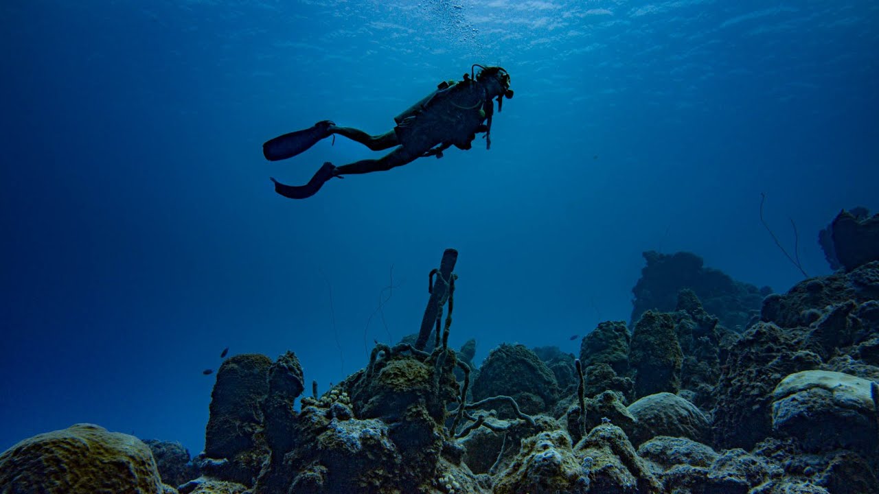 Diving at the famous TUGBOAT BEACH  in Curacao   #77