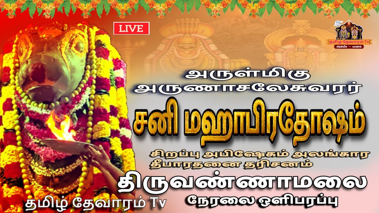 🔴 LIVE: #திருவண்ணாமலை #மாசி மாத #சனி #மஹாபிரதோஷம் தேதி : 14.02.2026 #அருணாச்சலேஸ்வரர் கோவில்