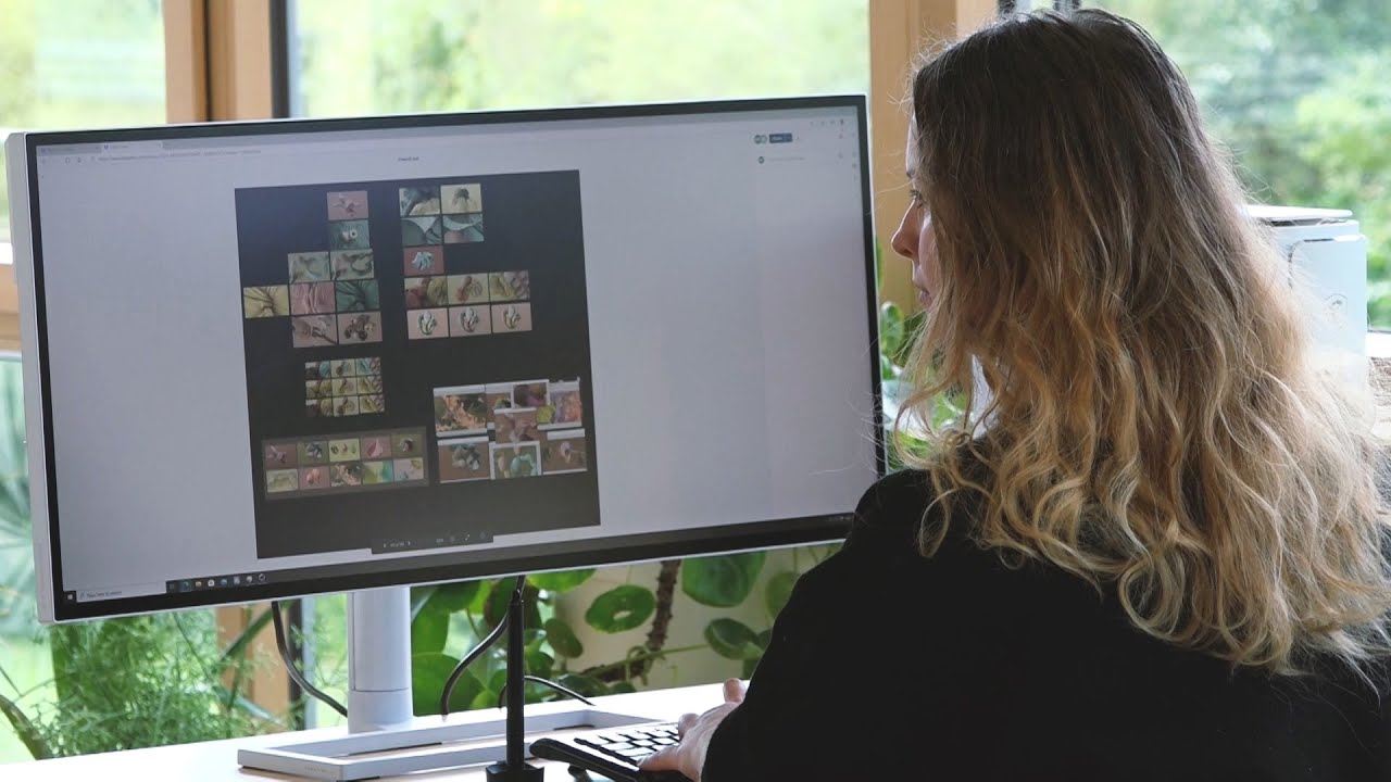 Motion Plus Design Made With Film - Behind The Scene | MSI
