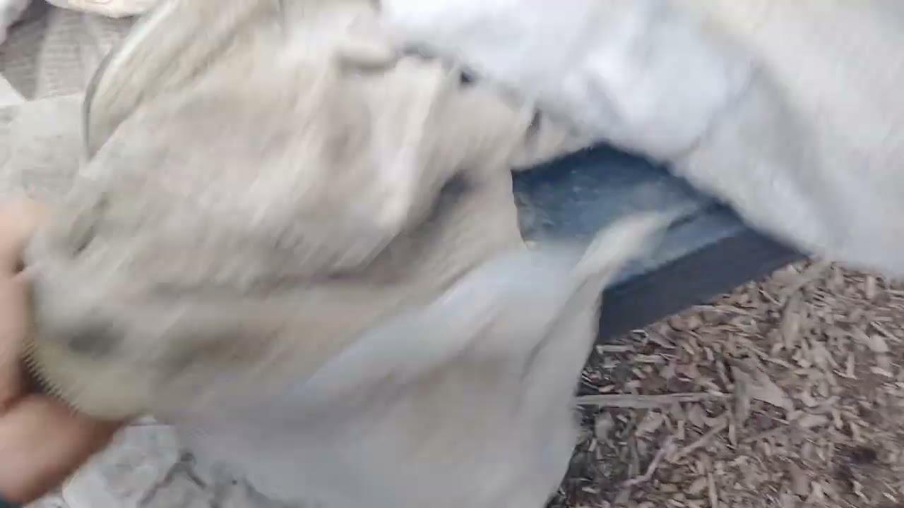 review on my guardian bee jacket after a full season