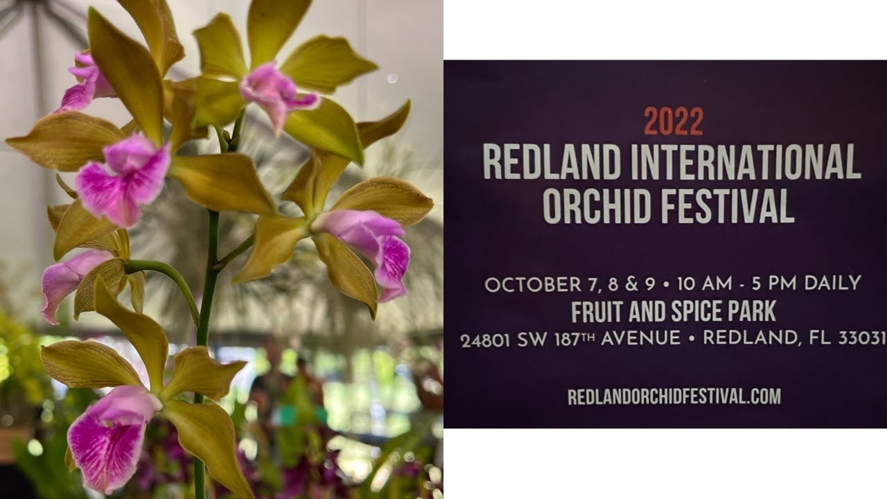 Redlands International Orchid Festival 2022
