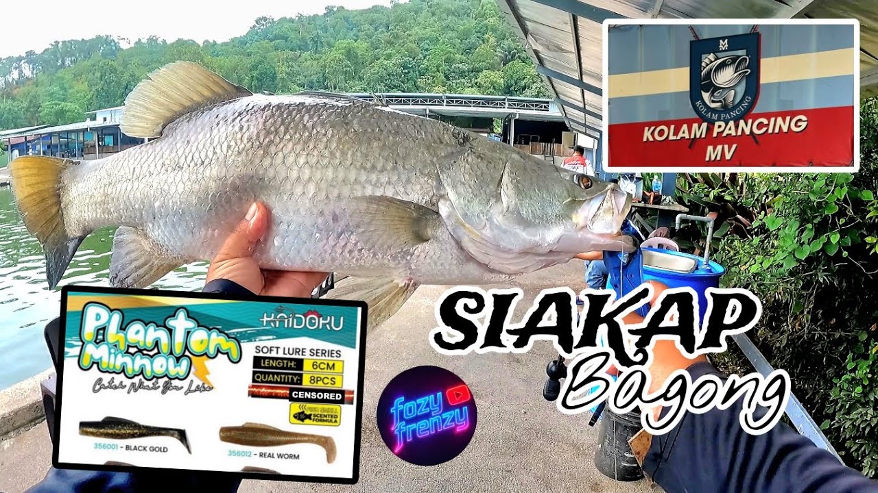 KAIDOKU PHANTOM MINNOW | 1️⃣9️⃣1️⃣ | SIAKAP BAGONG KOLAM HULU LANGAT