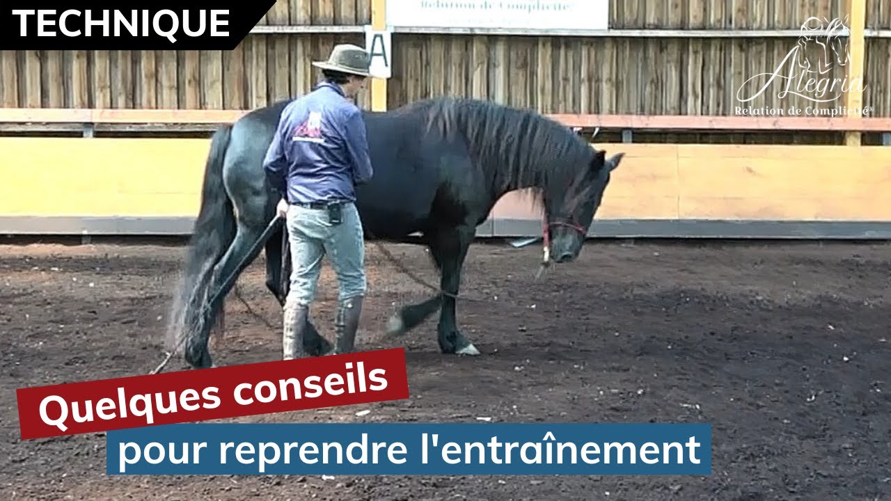 [ EDUQUER SON CHEVAL 👀 ] Reprendre le travail avec son cheval après une période d'inactivité