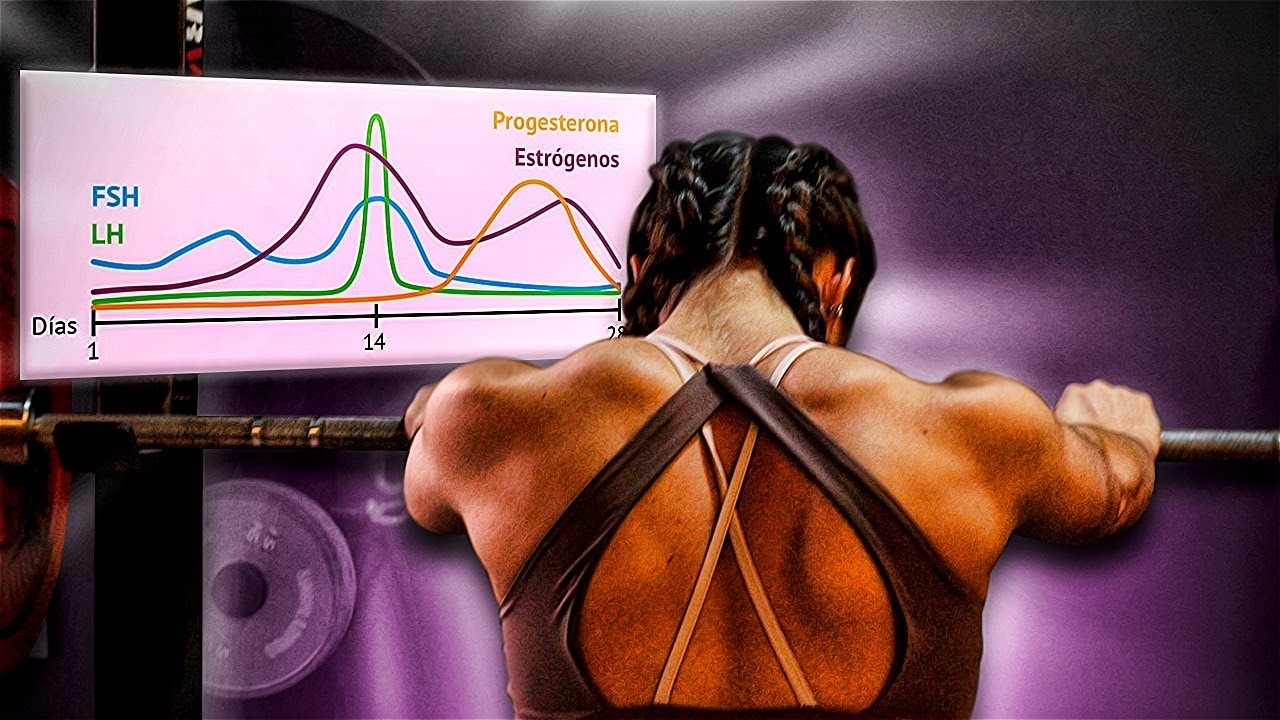 CICLO MENSTRUAL | ENTRENAMIENTO Y NUTRICIÓN