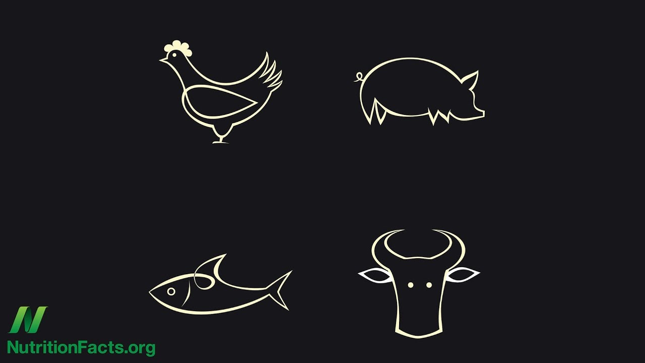 Switching from Beef to Chicken & Fish May Not Lower Cholesterol