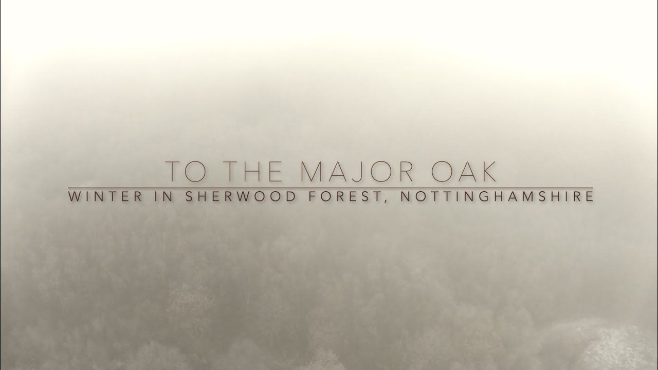 Winter in Sherwood Forest