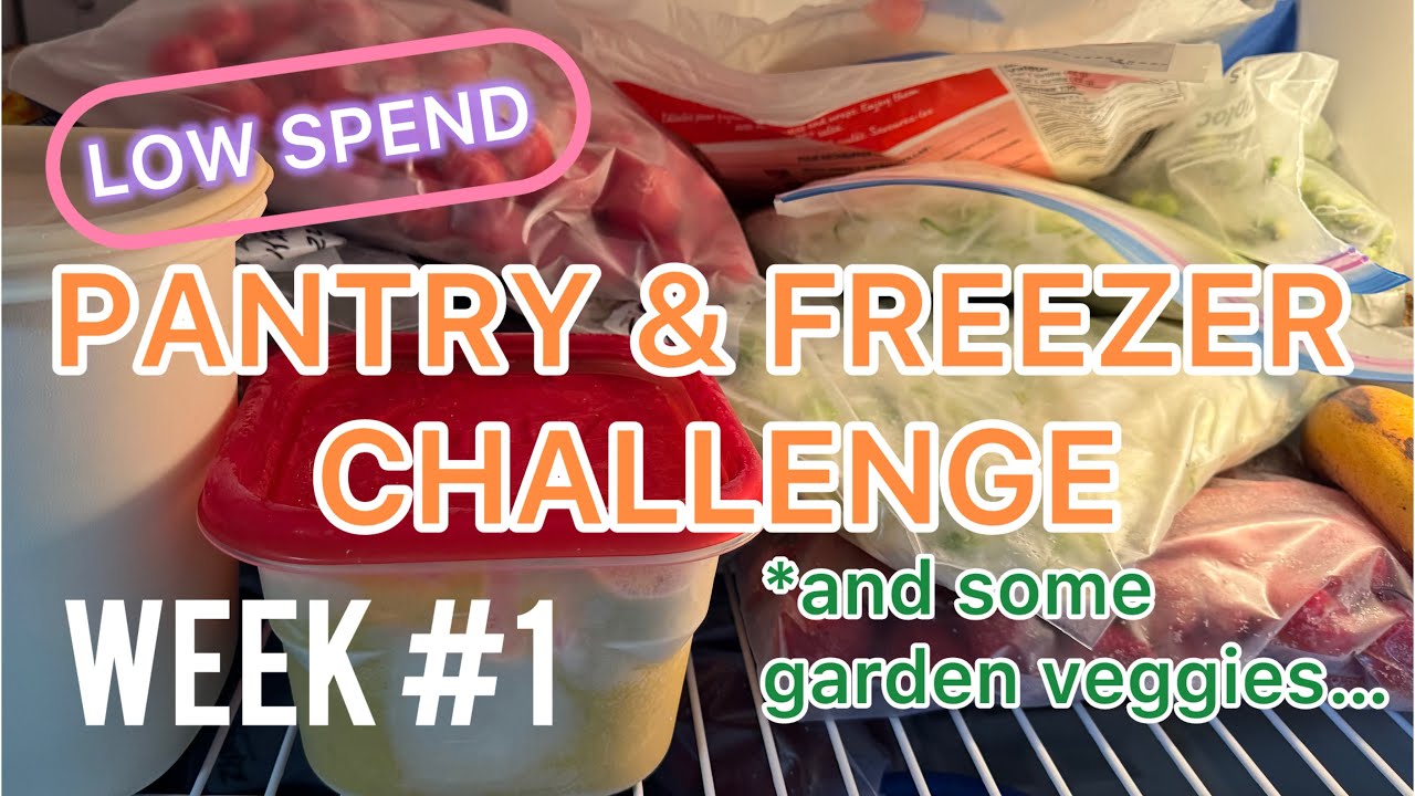 Low Spend PANTRY Challenge Fall 2024 - Week #1 Blueberries & Beef