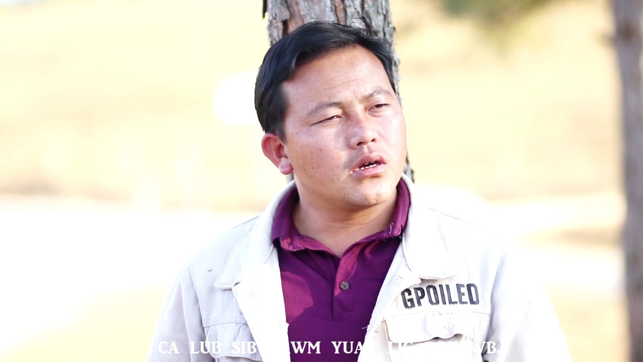 ca ho ntsib koj lig lawm by Tou lee - vang nkauj tsiab 2020