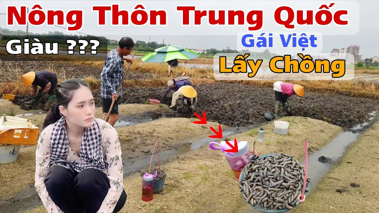 Thăm Nông Thôn Trung Quốc Nói Sự Thật Gái Việt Muốn Lấy Chồng Trung Nên Biết ! Khỏi Hối Hận