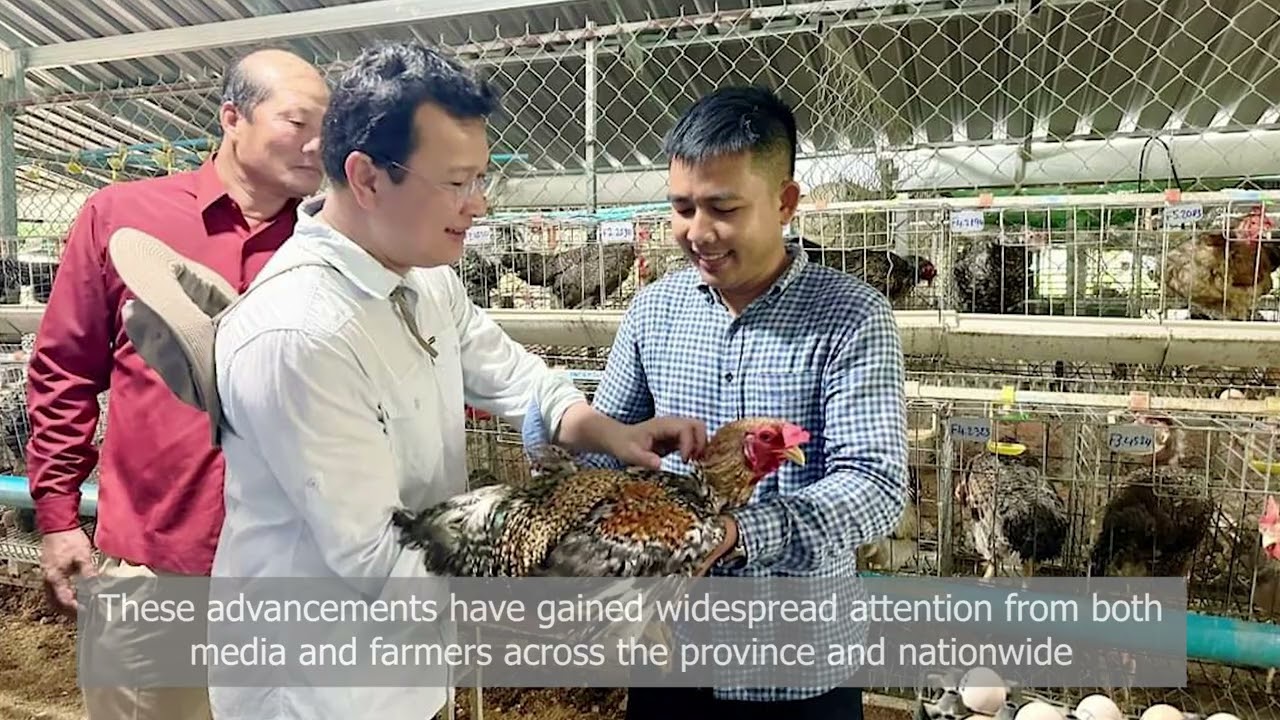 Skouy chicken: Enhancing livelihoods, preserving tradition