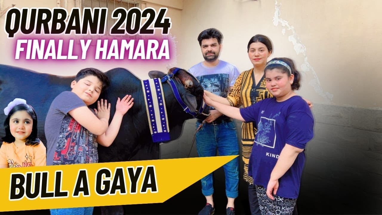AL HAM DU LLILAH My Qurbani bull For Eid ul Azha 2024  @trendzwithabeel