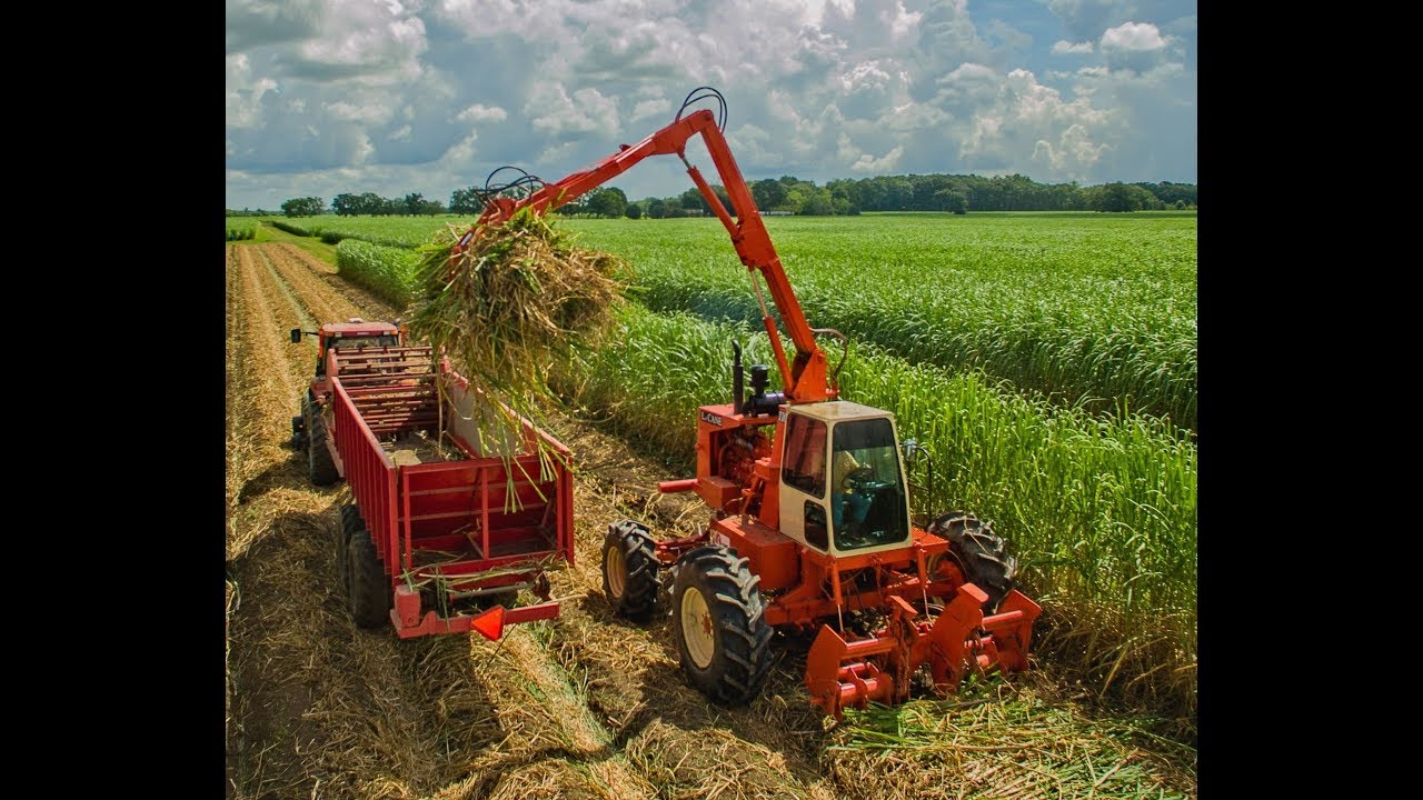 Planting Cane in Louisiana 2018 4K Drone Video