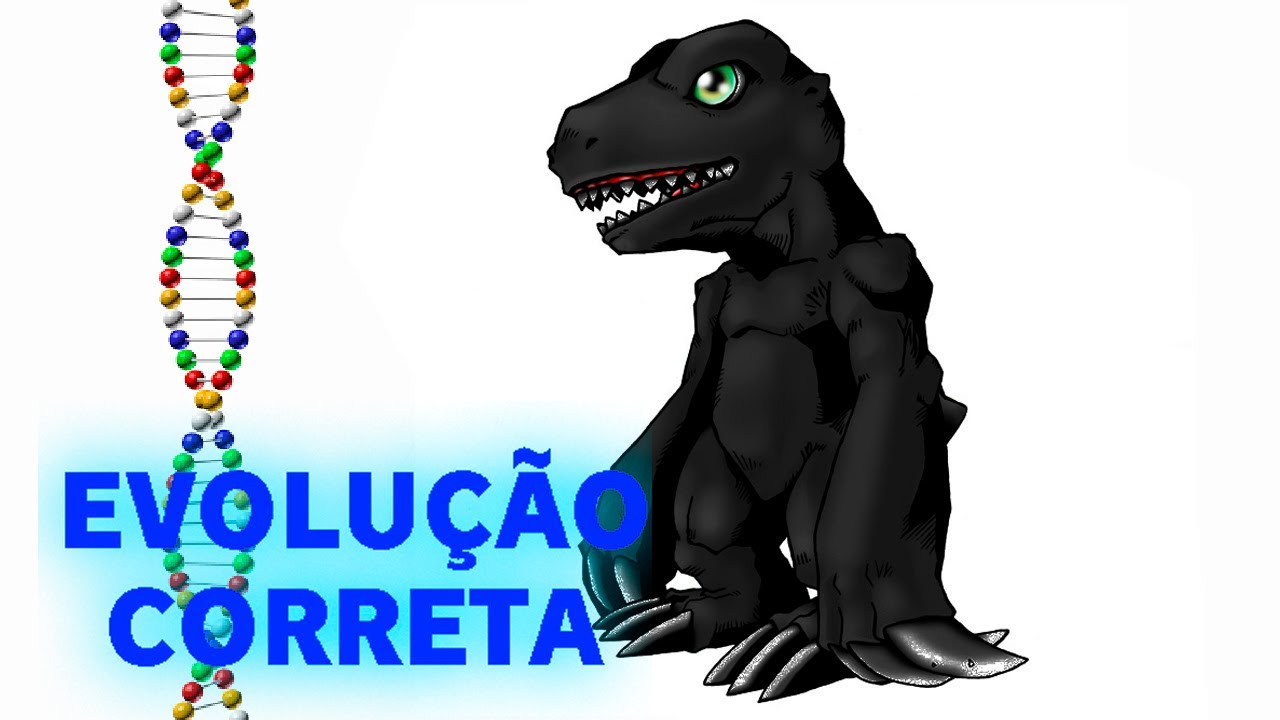 BlackAgumon - Evolu&ccedil;&atilde;o Correta